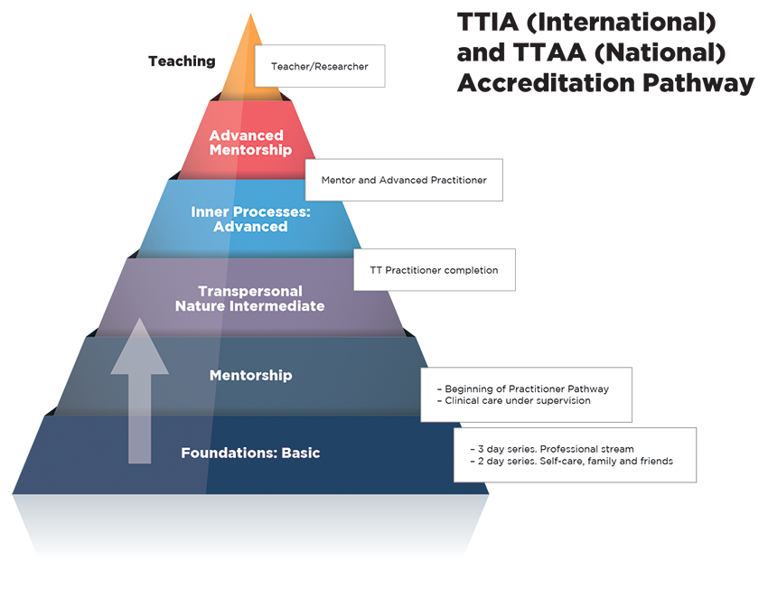TTIA (International) and TTAA (National) Accreditation Pathway pyramid